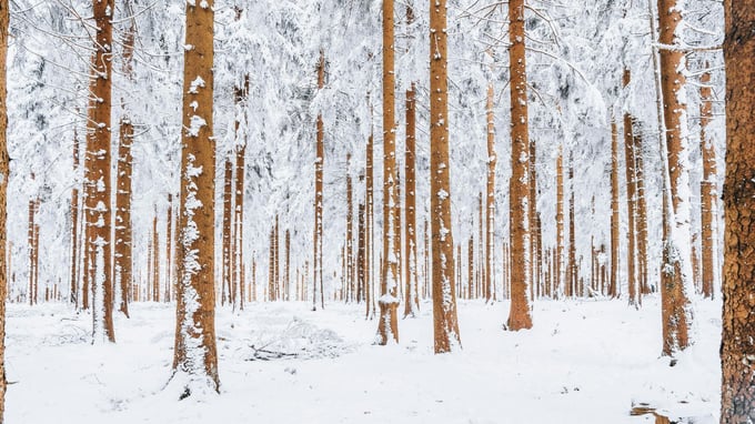 Composer Karen Amrhein joins Vienna Live to present her new Navona Records album of symphonic music, Panorama.