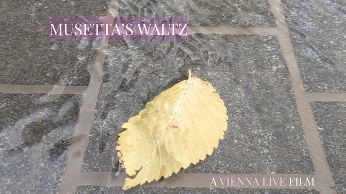 Untitled (1080 x 1080 px) (Presentation)-2