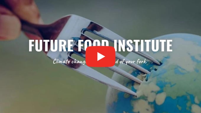 The Future Food Institute Logo