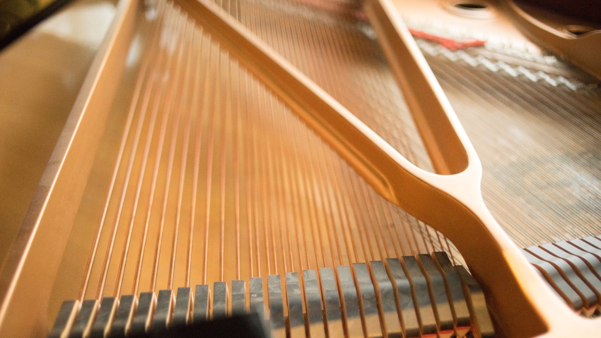 Pianist Christopher O’Riley joins Vienna Live to present his forthcoming album of J.S. Bach’s masterpiece, The Well-Tempered Clavier.