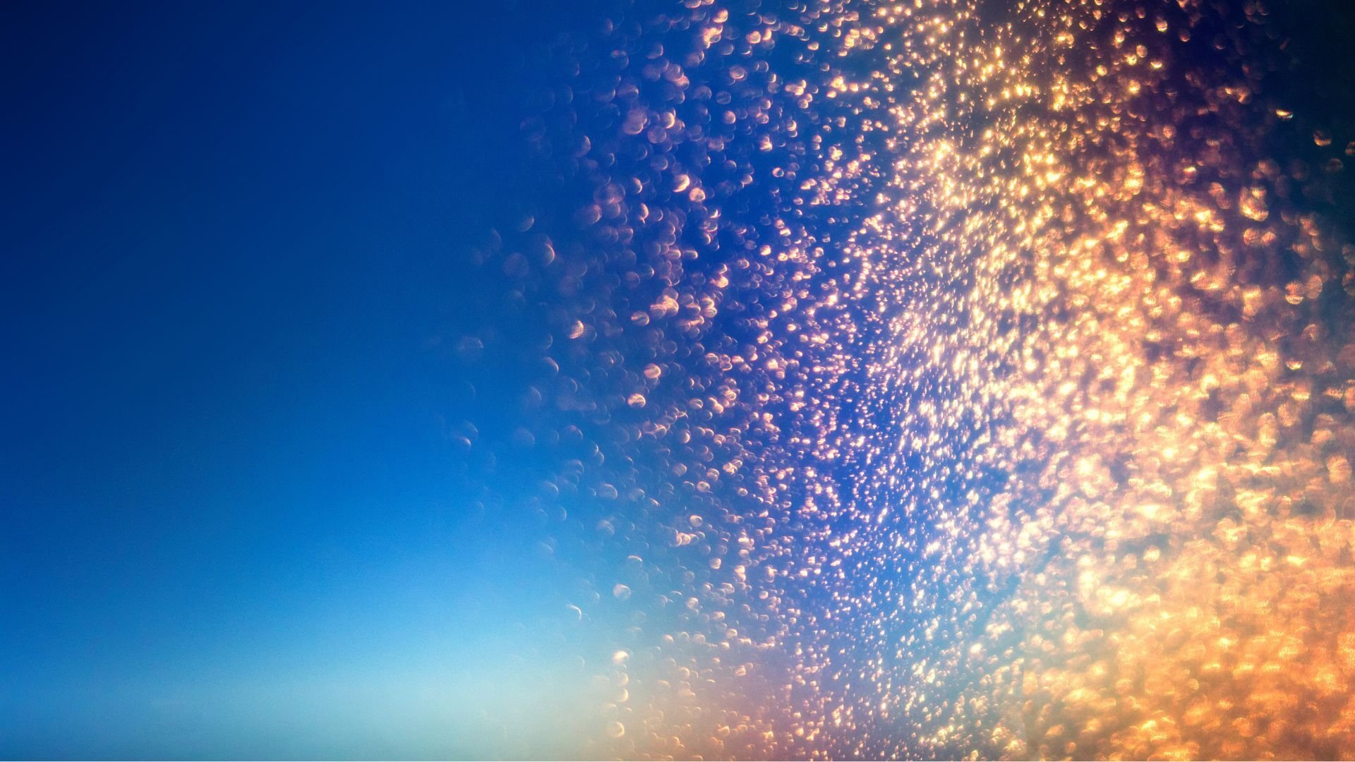 Composers Gilda Lyons and Roger Zahab join Vienna Live to present their new Navona Records concept album, Magic & Desire.